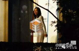 邓超爆料海豚视频,海豚视频背后的故事 第3张 邓超爆料海豚视频,海豚视频背后的故事 第3张